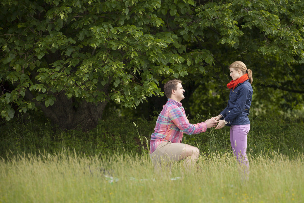 Ryan proposes to Mary at the National Arboretum in Washington, DC May 17, 2014.