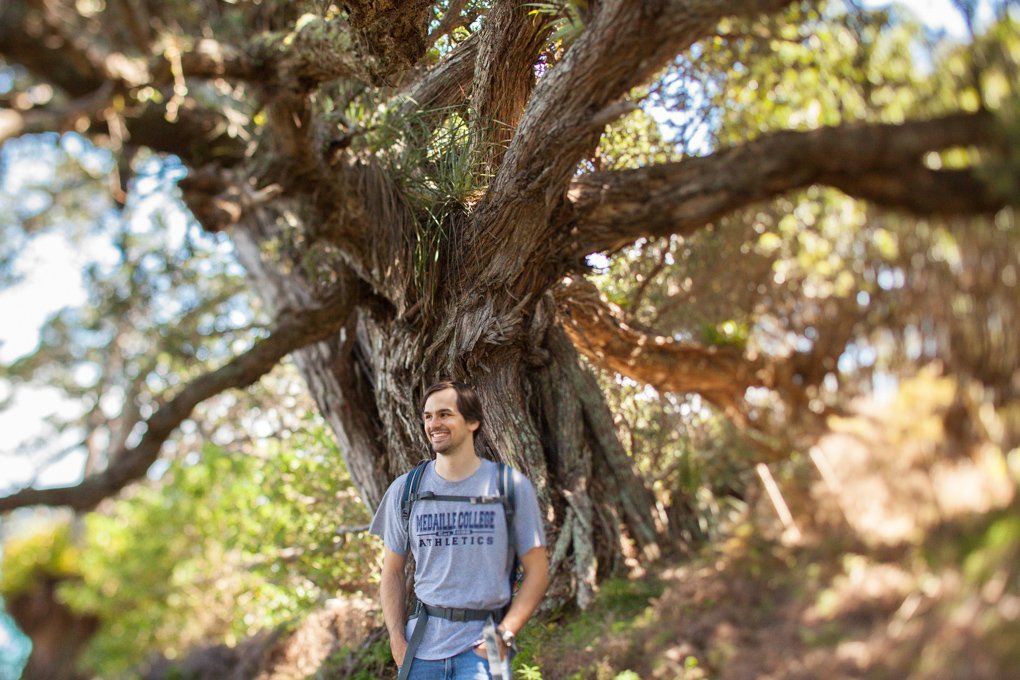 Hitapa Bay Walkway to Te Whau Vineyards, Waiheke Island, Auckland, New Zealand.