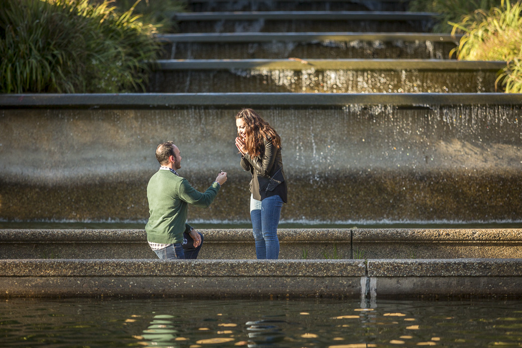 Chris Murphy proposes to Ariana Hasserjian at Meridian Hill Park, Washington, DC, October 15, 2015.