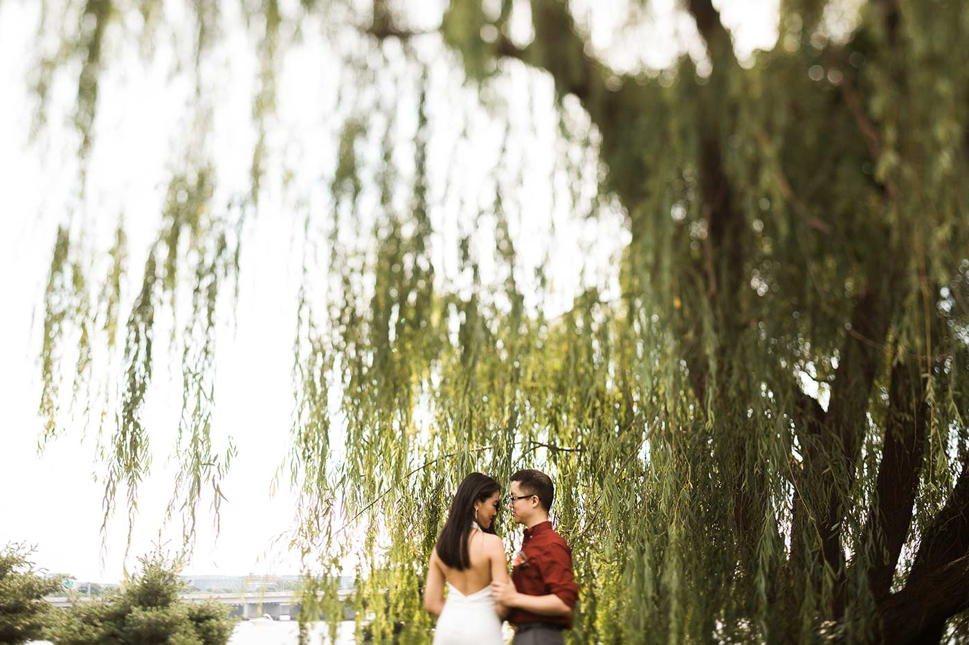 bride and groom under weeping willow