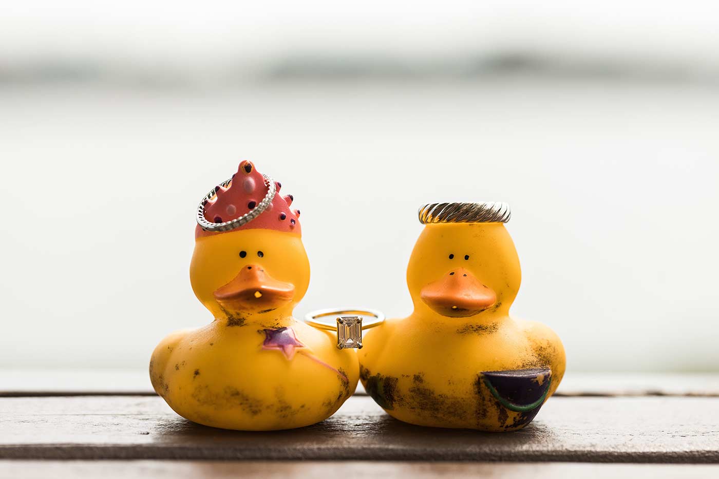 rubber ducks with wedding rings