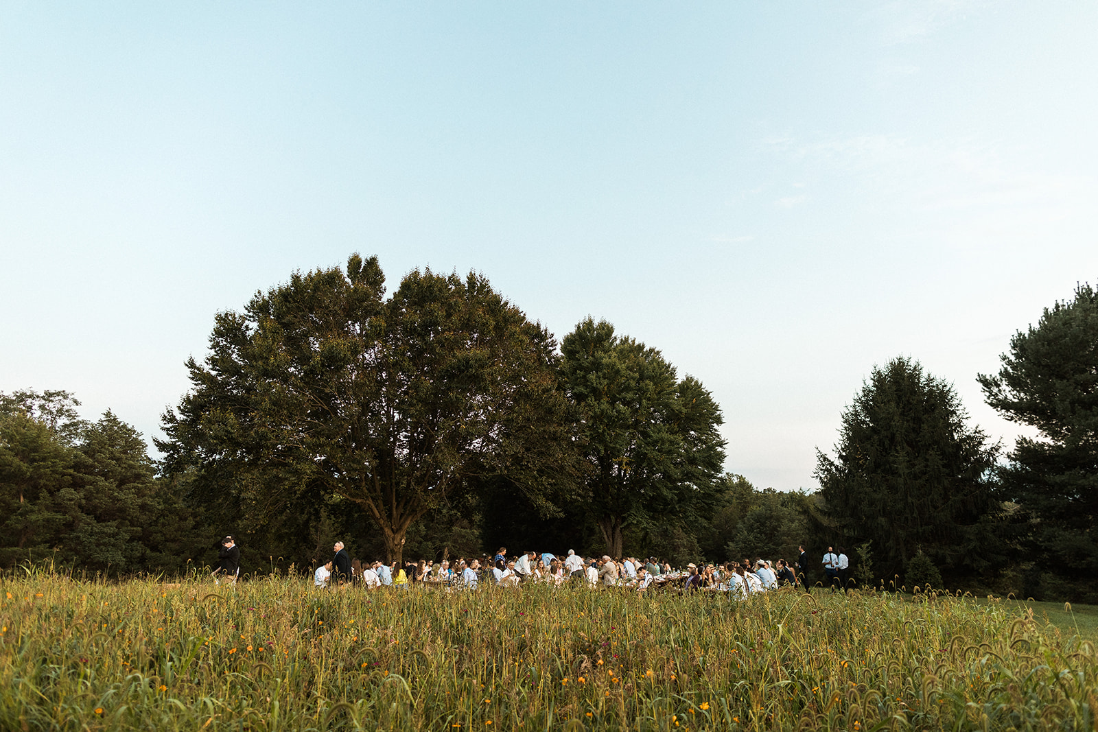 wedding reception in field