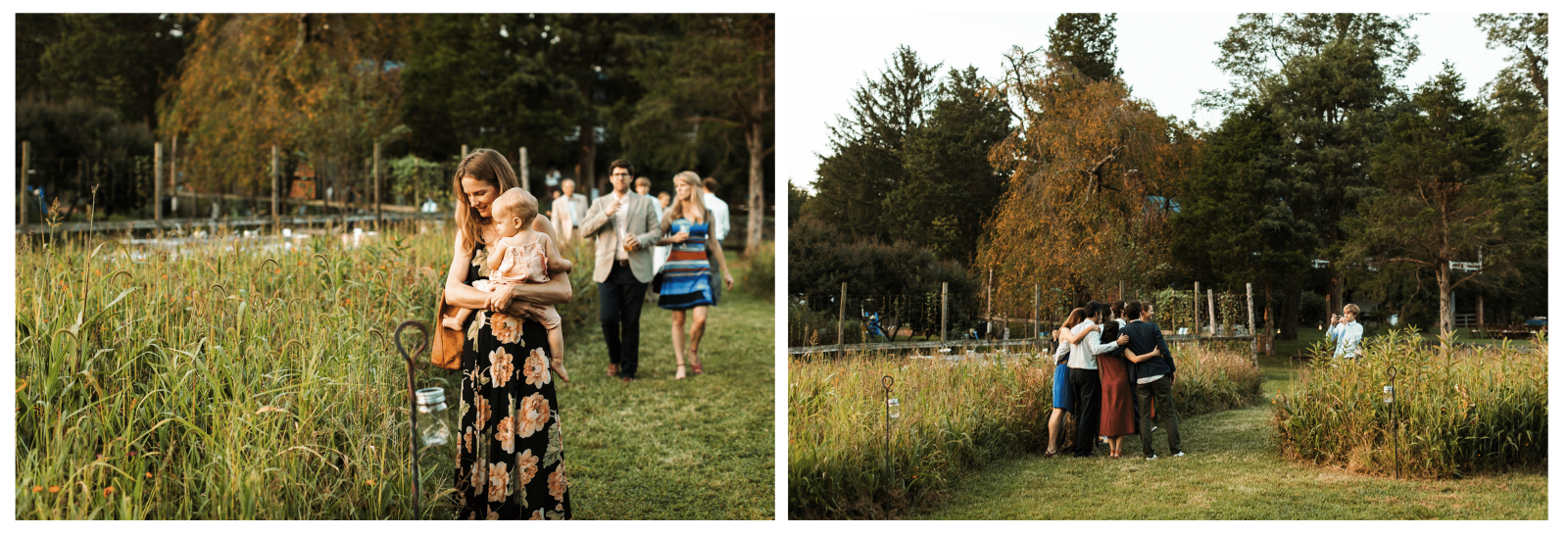 guests walking through farm to wedding reception area