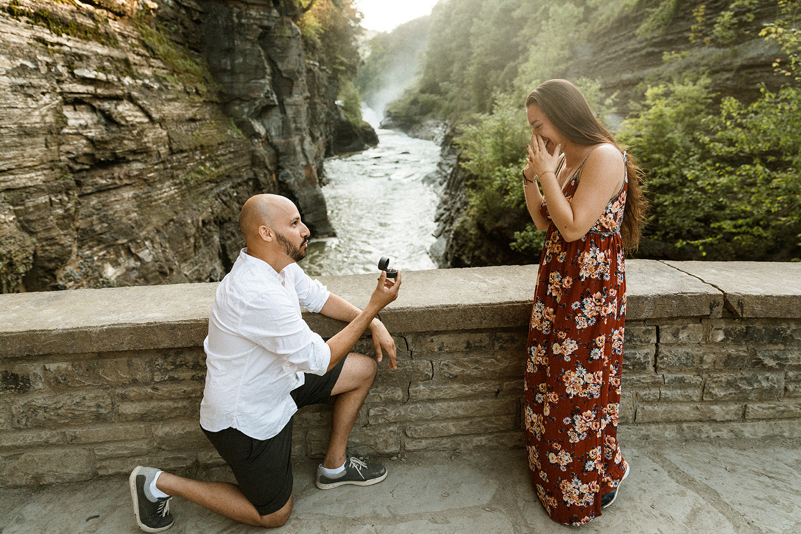 lower falls bridge proposal