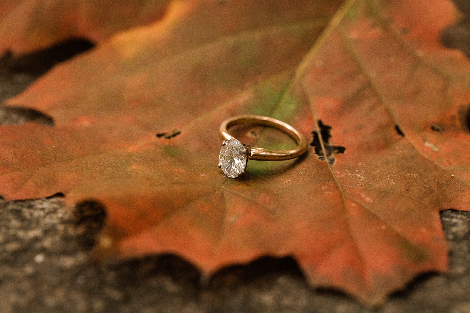 engagement ring on fall leaf