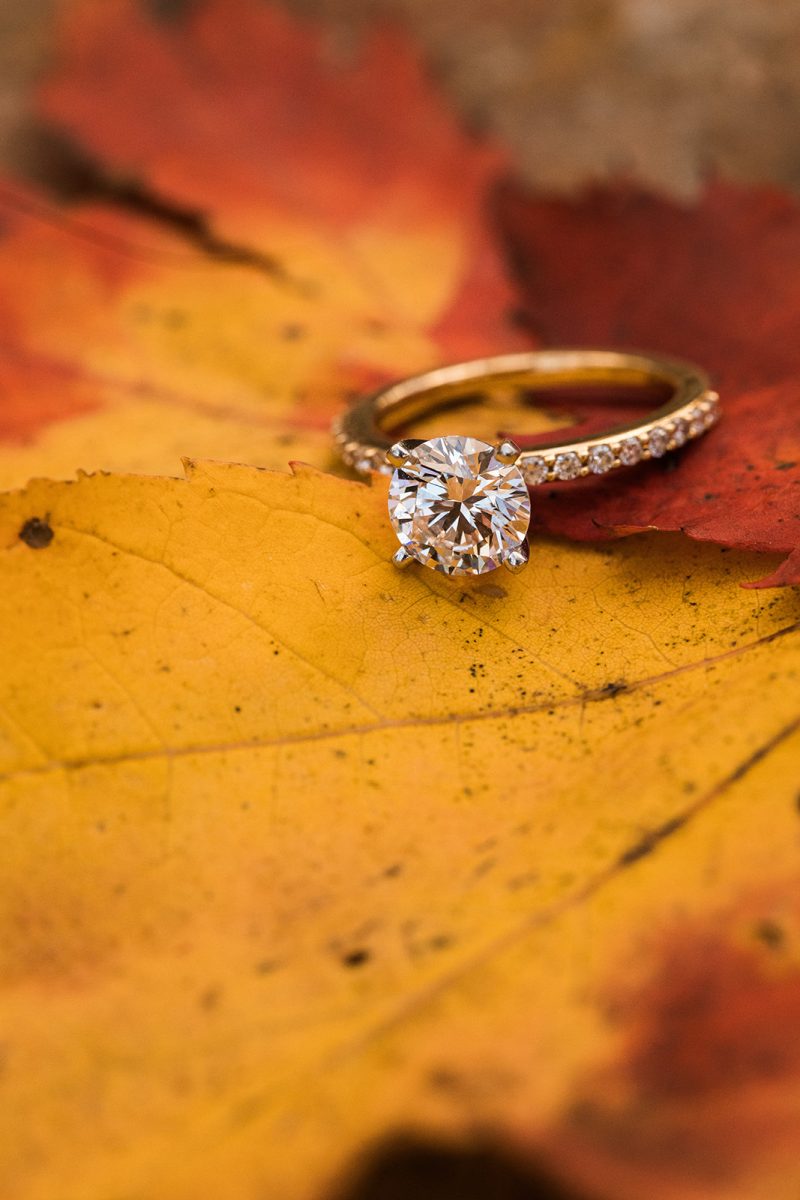 engagement photographer in virginia