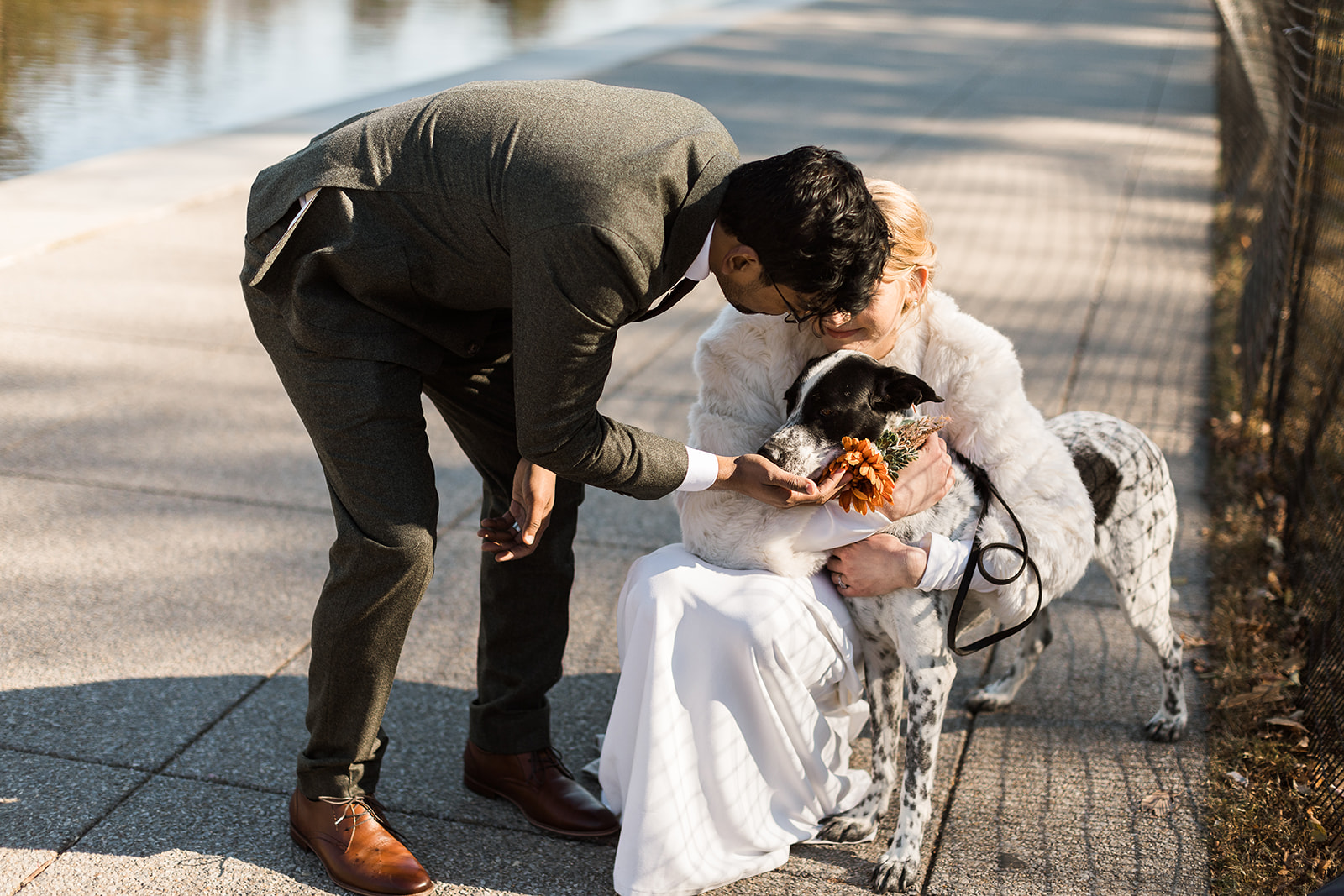 bride and groom with dog