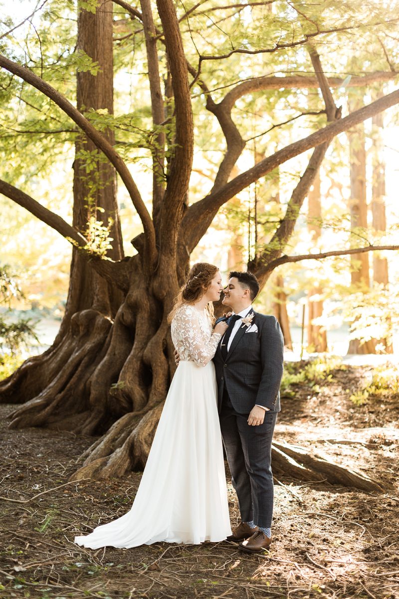 LGBTQ couple on wedding day standing under gnarled tree at National Arboretum. 