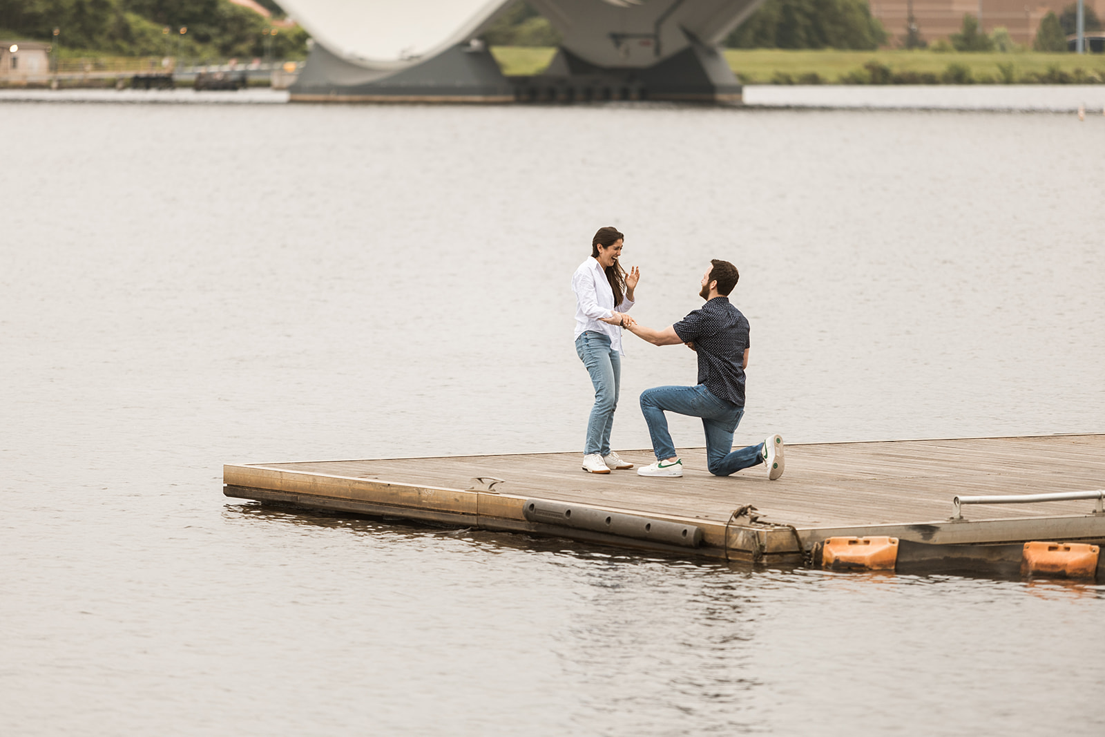 washington dc proposal photography
