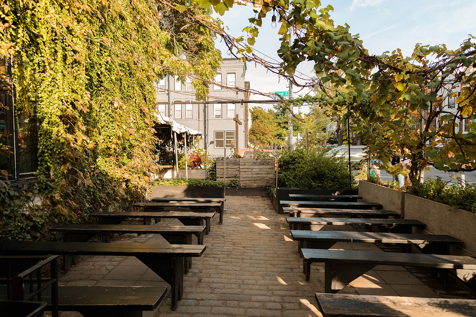 big bear cafe washington dc patio ceremony 