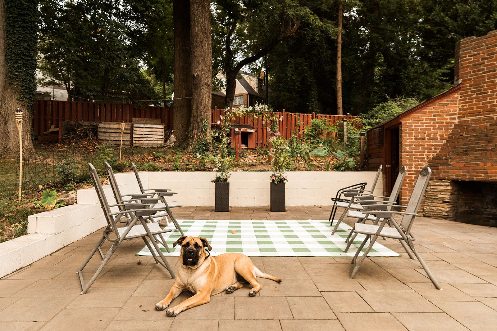 backyard wedding ceremony set up