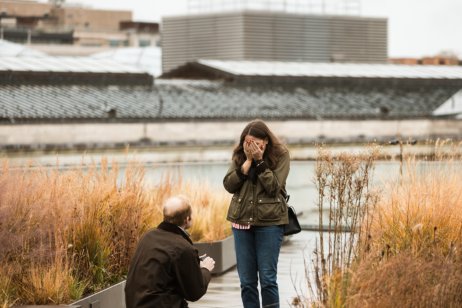 surprise rooftop proposal at mlk library in washington dc